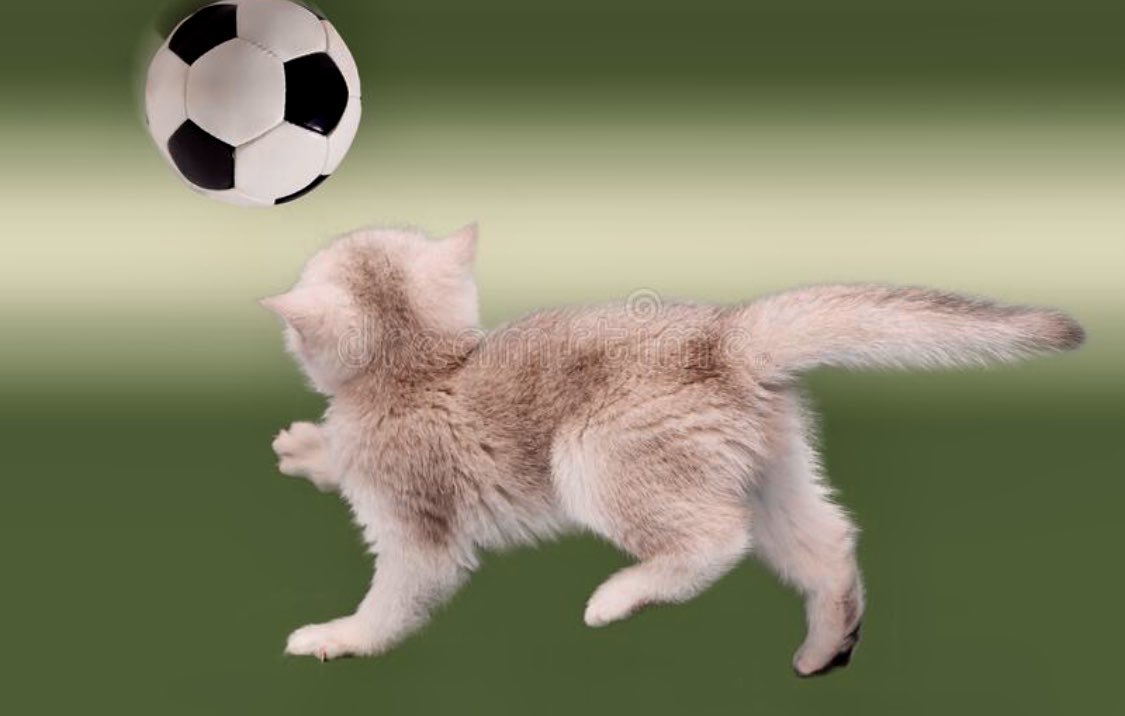 Dominique LUNEL tweet media