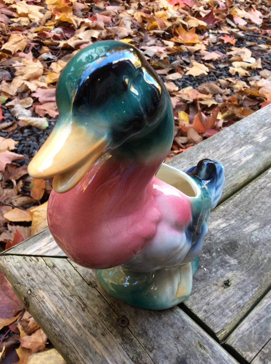 GothicGlass's tweet photo. Excited to share the latest addition to my #etsy shop: Vintage Mallard Duck Figurine Planter Royal Copley Duck desk organizer pen holder Duck Planter Retro Man Cave, Vintage Vigo Canadasale #christmas #countryfarmhouse #vintageduck #christmasduck https://t.co/fwIQufVUrw https://t.co/R2dGYgcxgA
