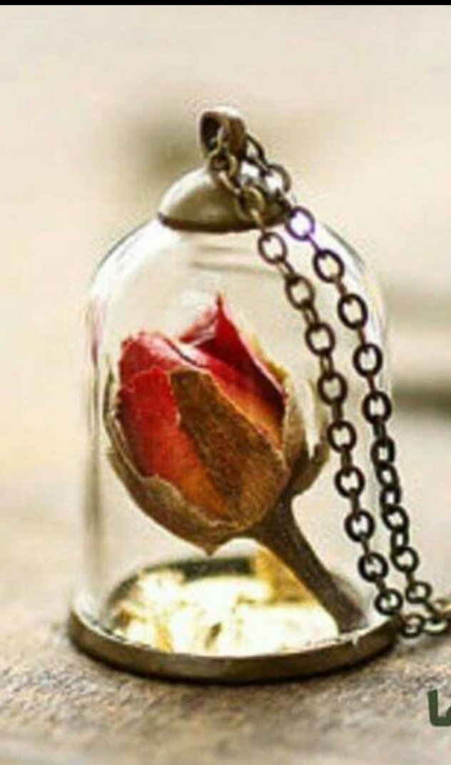 اللهم رقه....
في التصرفات والكلمات.....وما يبدر منا
اللهم نورا في القلب والروووووح
وفي أعماقنا البعيده....♥️♥️♥️.