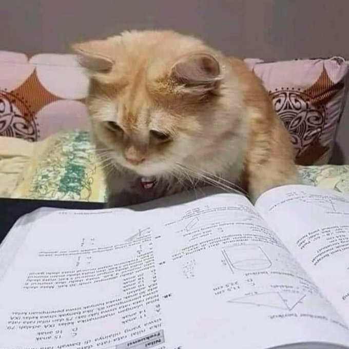 Şimdiye kadar ders çalıştığım vakti başka bir şeye harcasaydım kesin bir şeye sap olmuştum...