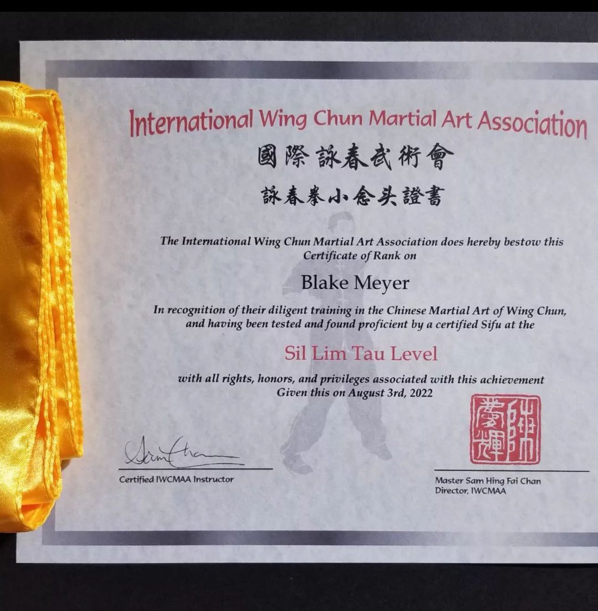 BlakeMe99112926's tweet image. bmfourelements
Wing Chun: Yellow Sash (Sil Lim Tau)
#sillimtao #wingchun #kungfu #wingchunkungfu #chanskungfu #chanskungfuschool #martialarts #yellowsash #internationalwingchunmartialartsassociation