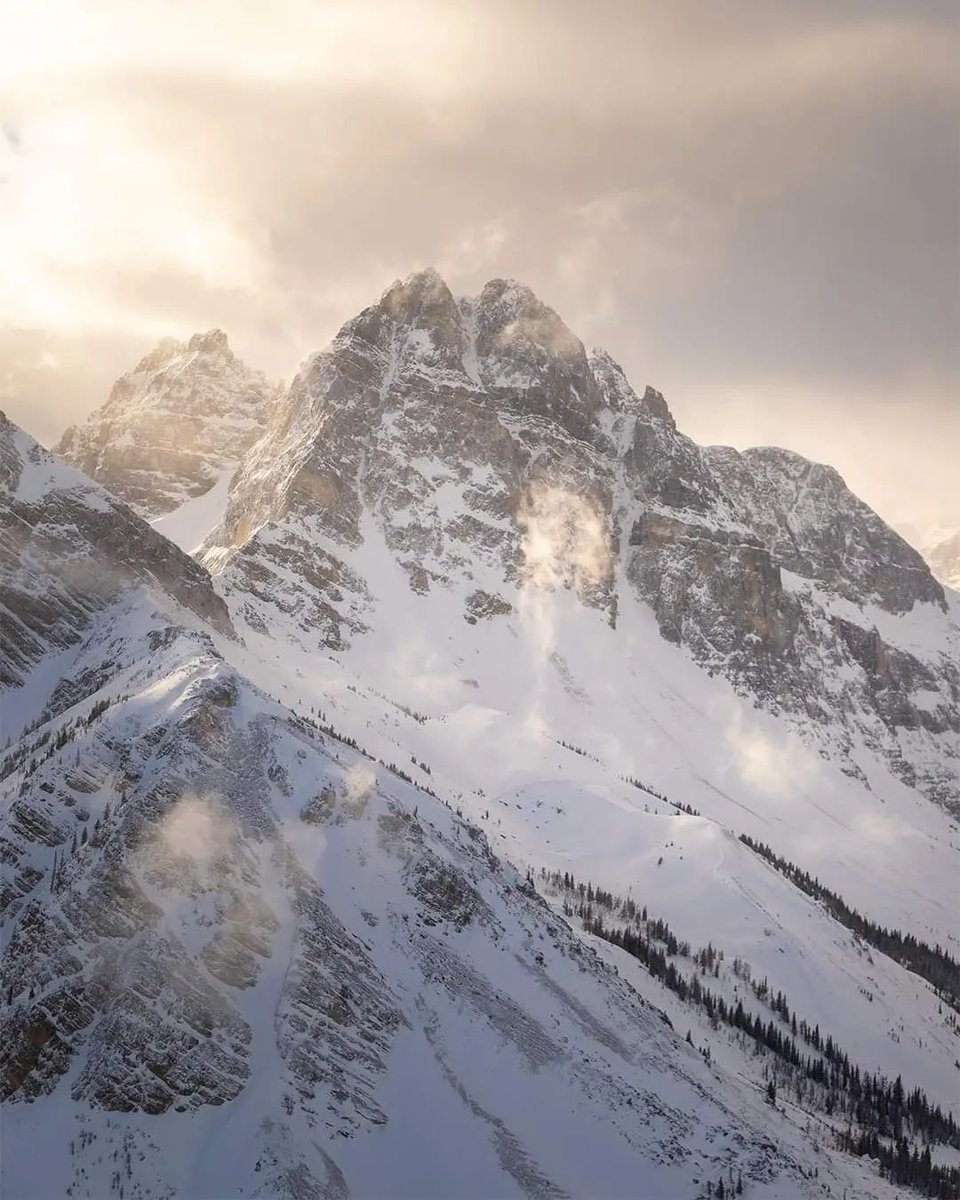 Tourism Canmore Kananaskis tweet media