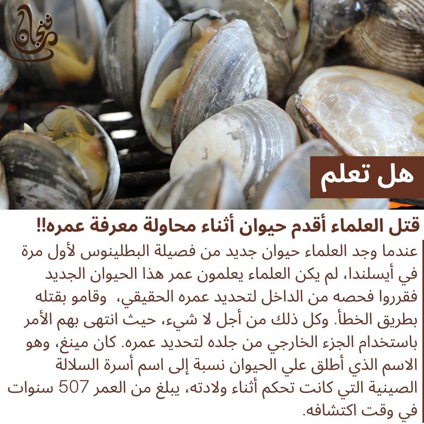 Funnjaan's tweet photo. قتل العلماء أقدم كائن في العالم أثناء محاولة معرفة عمره!! https://t.co/wJxi5lO5WM