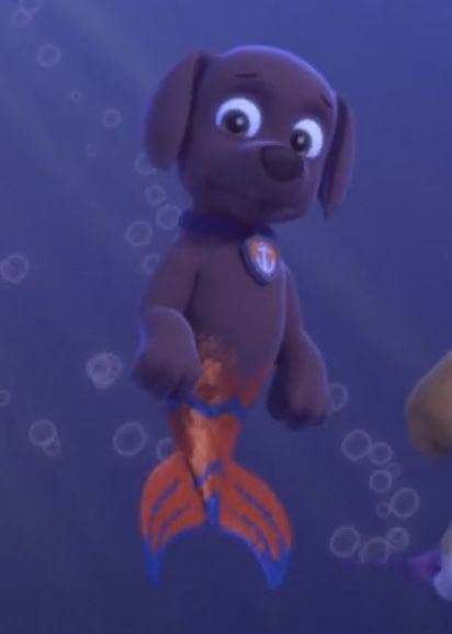 NGoiser's tweet photo. Zuma and Coral: Puplantis adventures
Zuma takes a vacation in Puplantis while going on aquatic adventures together protecting Puplantis and hanging out.
#Zuma #aquapups #merpups https://t.co/YJxZ4Jm0xs