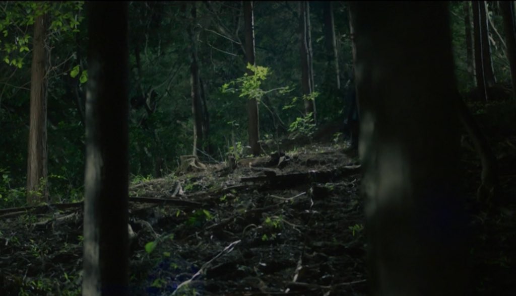 환혼 너무 좋은 부분

뭐야 추섭사 부순 거 나중에 알아?!!?
와답답미친
                                예? 어젯밤일을하나도 
                                 모르시나봅니다?

설마 반딧불이 
장욱이 보낸 거 모르고끝나?!!
                                  ((장욱 옷자락 스르륵