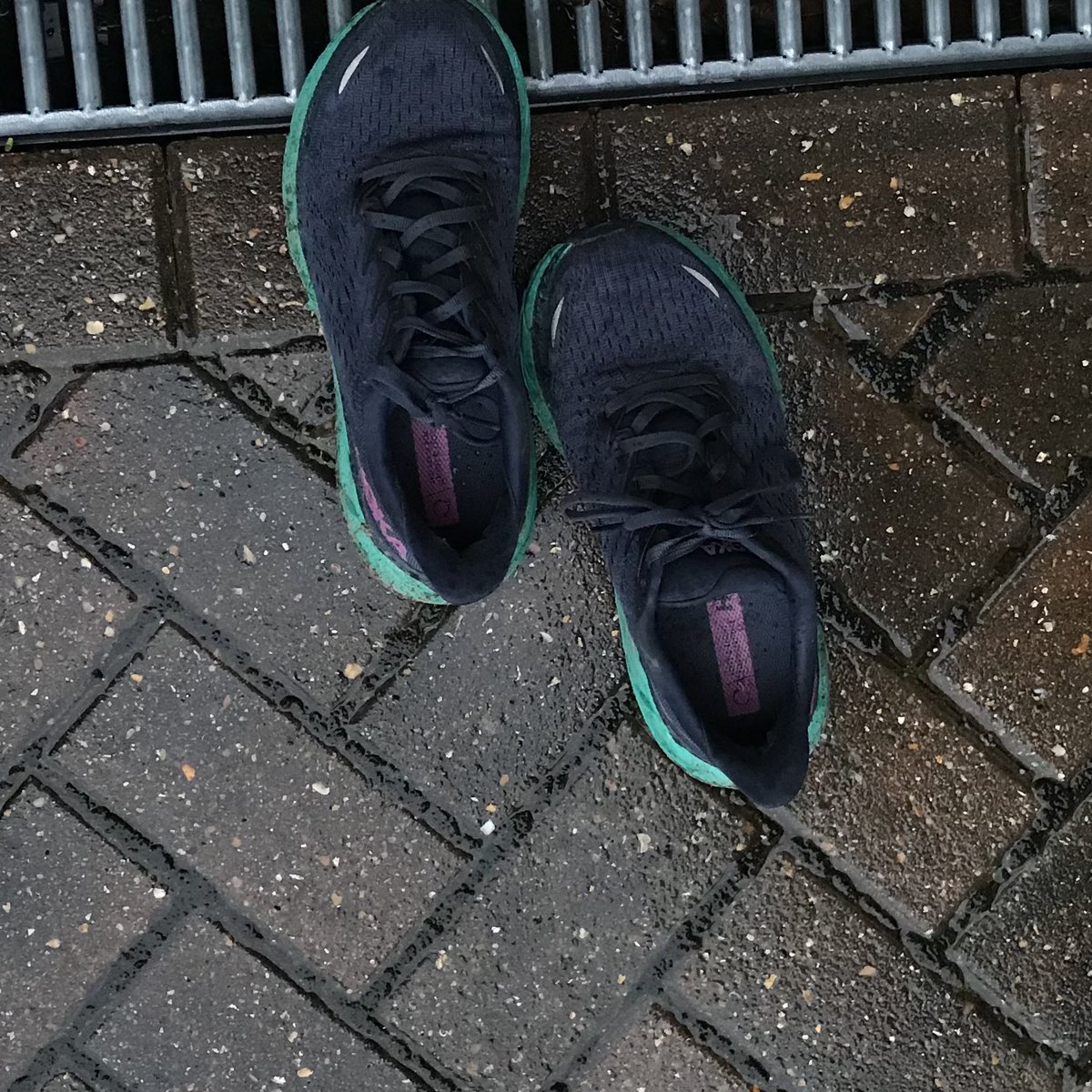 cass_lyons's tweet photo. 🙏legs.  Pleased had 8 miles in me today.  I am absolute flower in the 🥶I had lined trousers, 2 pairs of socks, 2 long sleeved tops on a jacket, Gillet, buff, hat &amp;gloves.  As got in shower had goosebumps everywhere, skin bright red.  Now got 2 pairs of trousers on #whatawimp https://t.co/j5Wu8OOhua