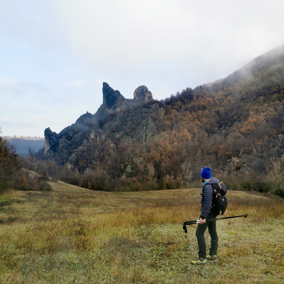 Filippo Menotti tweet media