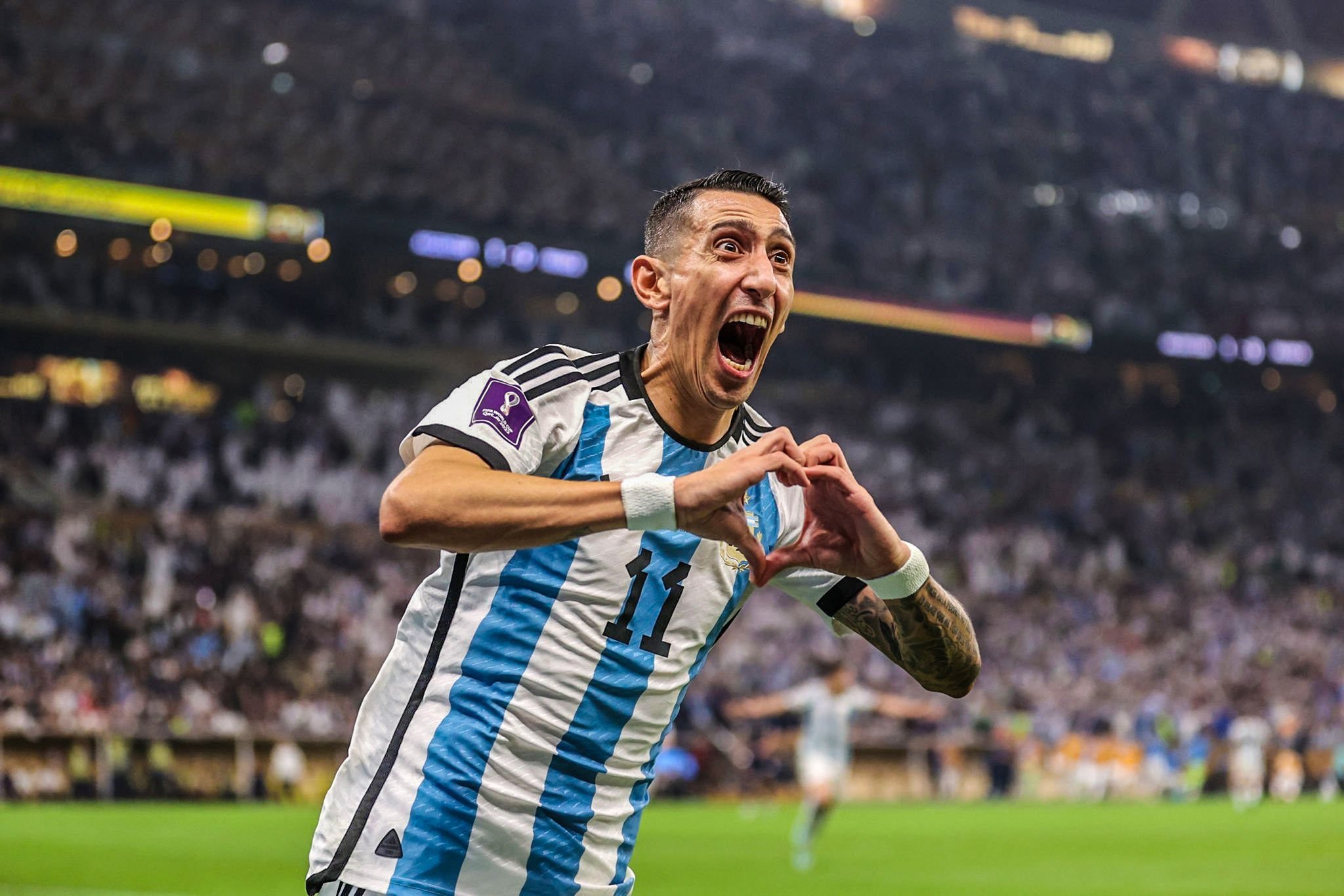 FkRWV1mXoAMR1sS?format=jpg&name=large