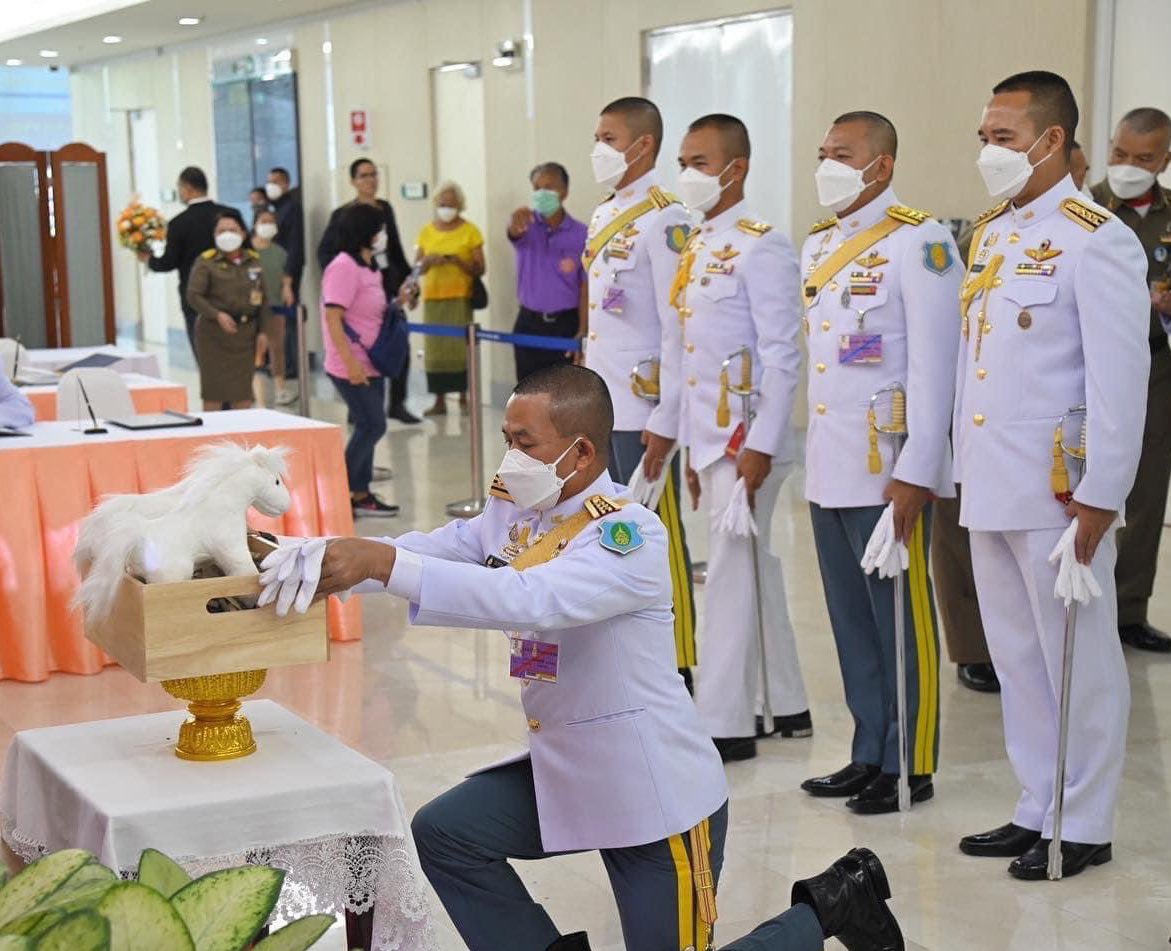 อันนี้ปริศนาธรรมเกิน ไงก้อแกะไม่ออก ว่าให้ม้าคือไร ให้เอาไปกอดที่ห้องพักฟื้นหรอ ไม่น่าจะใช่ ทหารเอาม้ามาให้ เอาเคล็ดหรอ ม้าสีขาว 2 ตัว ยายเสื้อเหลืองยังยืน งง 🤔