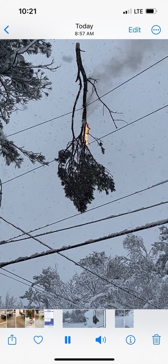 Nick Lambert tweet media