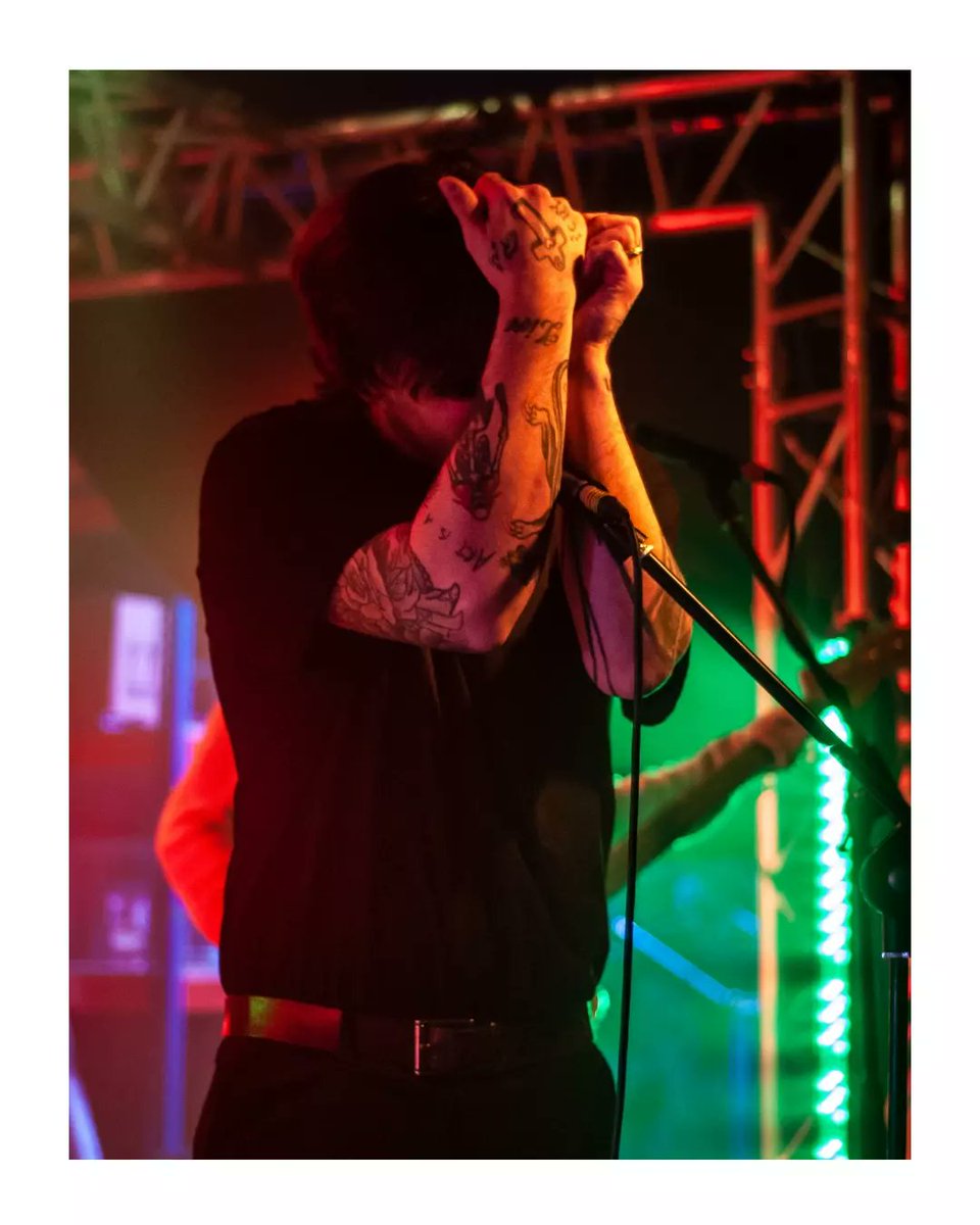 Lunamoss 🦇 tweet media