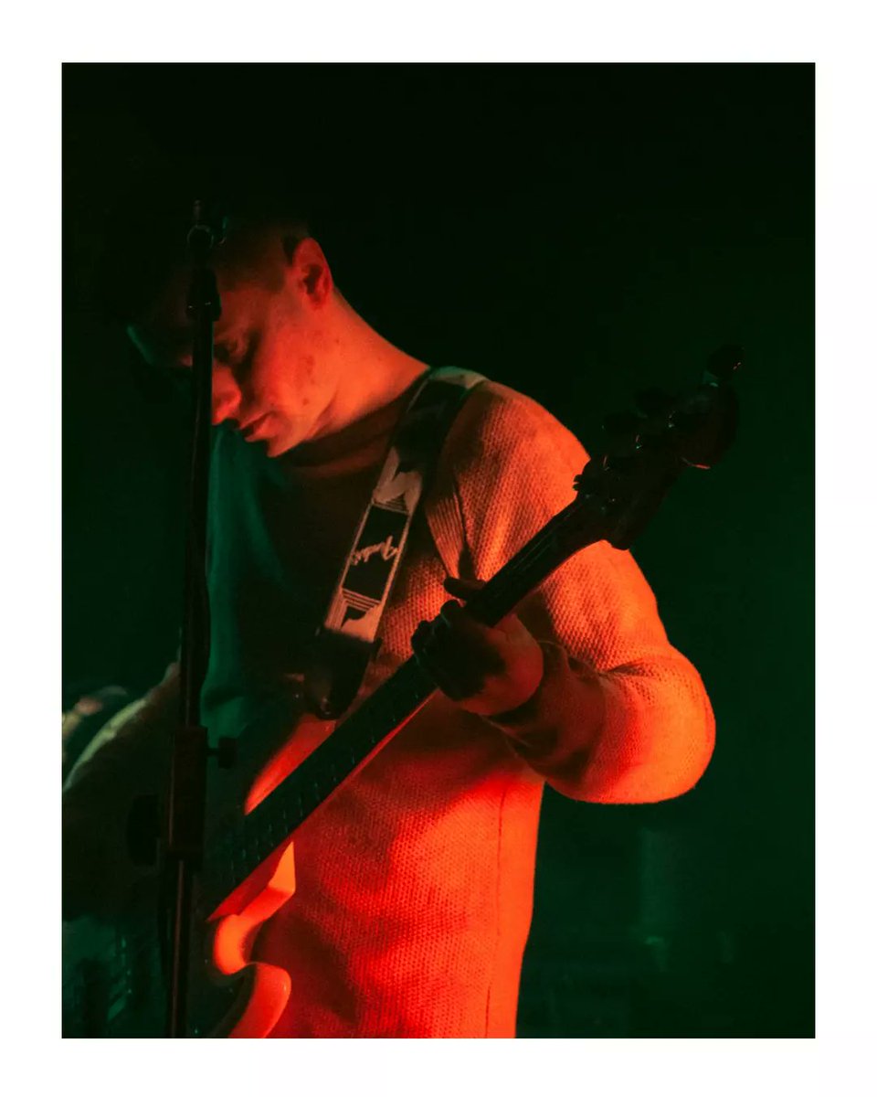 Lunamoss 🦇 tweet media