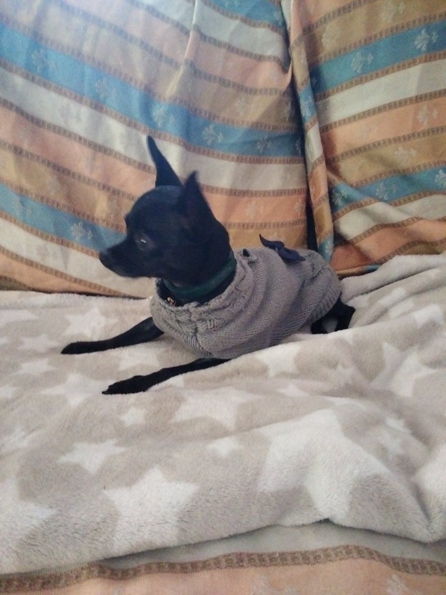 Paolo Angelini (@angelipablo) on Twitter photo 