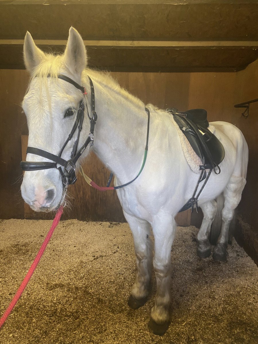 Hey, have a nice weekend, do you want to go for a walk?