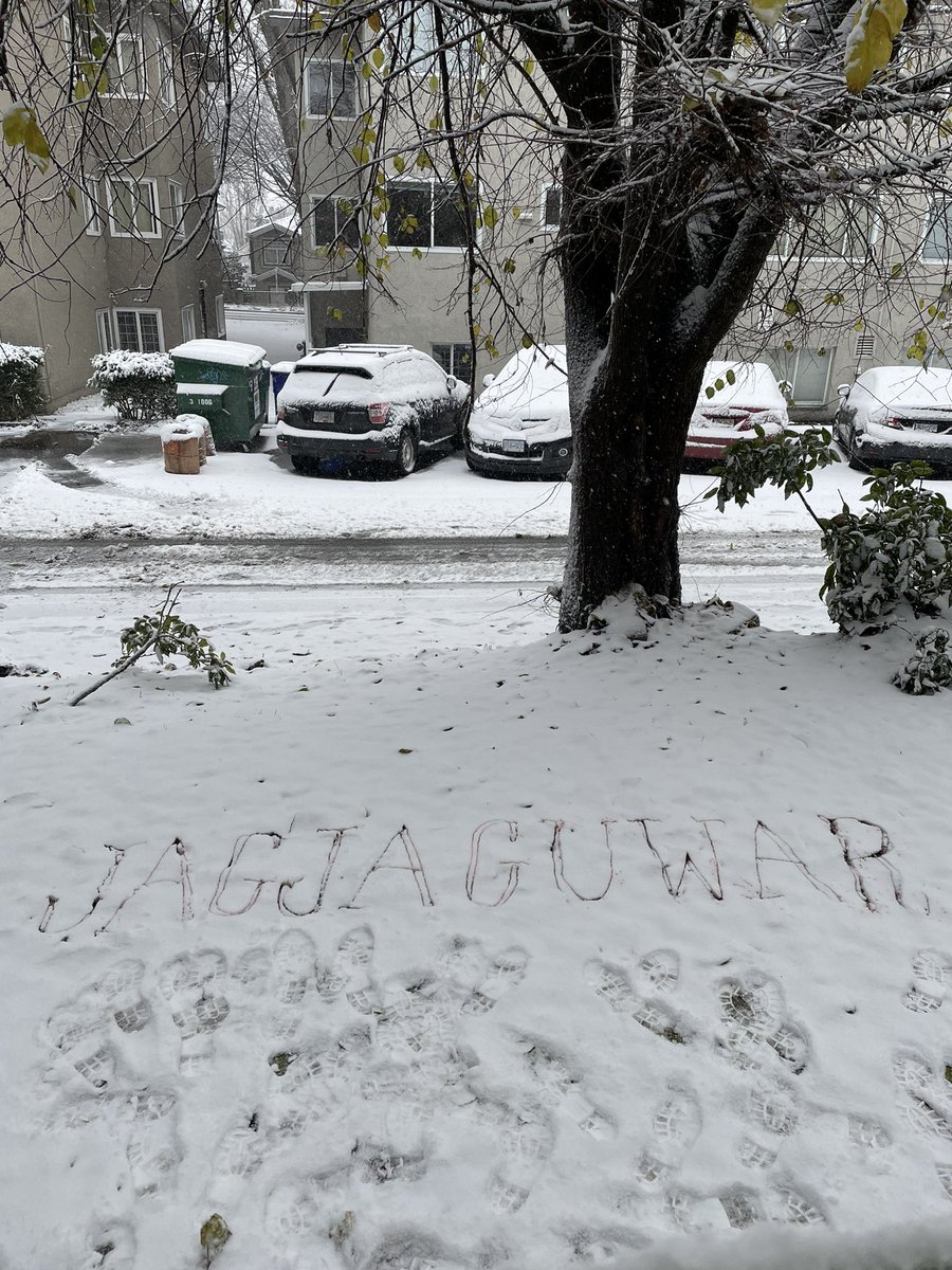 xenophiler's tweet photo. Here to win the 5th Annual @jagjaguwar Holiday Snow Pissing Contest because yes, I would like to win every 2022 release on vinyl (don’t worry folks — it’s mulled wine!) #jagfrost #freshsnow https://t.co/T345Y6sUye