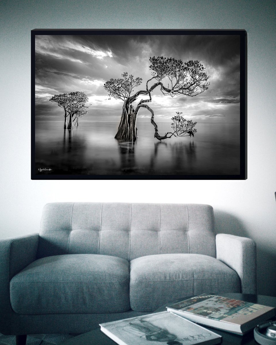 MiguelMorenatti's tweet image. 👉SORTEO🥳🎉
Una de mis dos últimas fotos de mi web. 
-90x60cm. Enmarcada en aluminio.
Requisitos:
✅RT esta publicación
✅Me gusta
✅Comenta cual elegirías 
El ganador se conocerá el 23 Dic 22:30h.

-Aqui tienes más opciones
🎁👉 miguelmorenatti.com