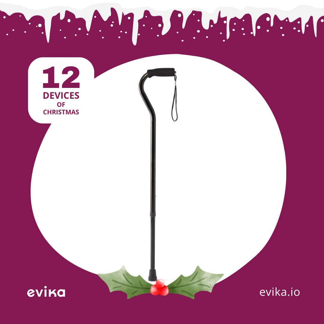 evikaLiving tweet media