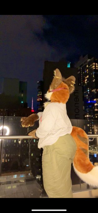 Pretty city, smelly city   #furry #fursuiter #k9atlas https://t.co/wm6S7bPlBg<a href="/tag/furry"class="tags">#furry</a><a href="/tag/fursuiter"class="tags">#fursuiter</a><a href="/tag/k9atlas"class="tags">#k9atlas</a>