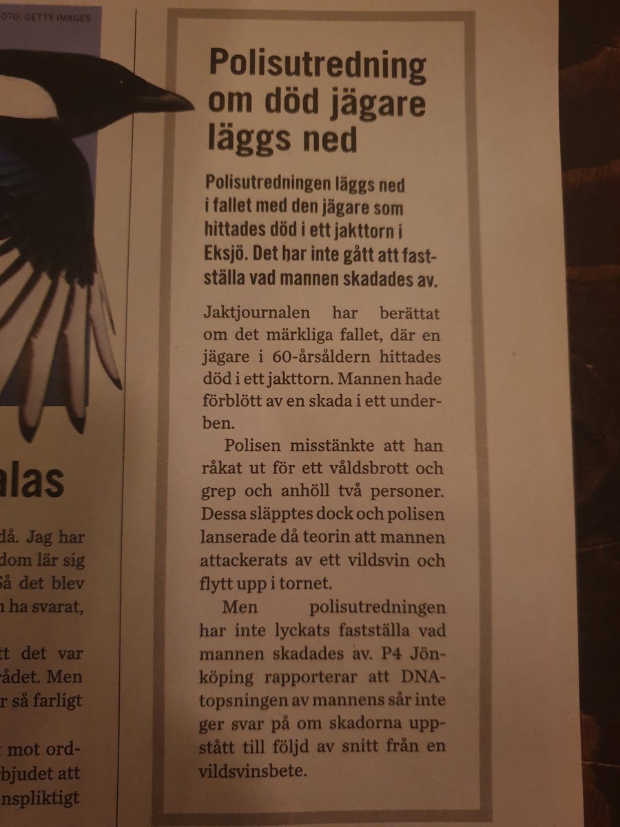 Preppis1's tweet photo. Varg? Jag hade för mig såret var på låret om man läser tidigare artiklar. Att de trodde det kunde vara vildsvin. Märkligt att inte kunna lösa detta. Jag tror det är varg och de tystar helt enkelt ner. https://t.co/bHpsYDWGP1