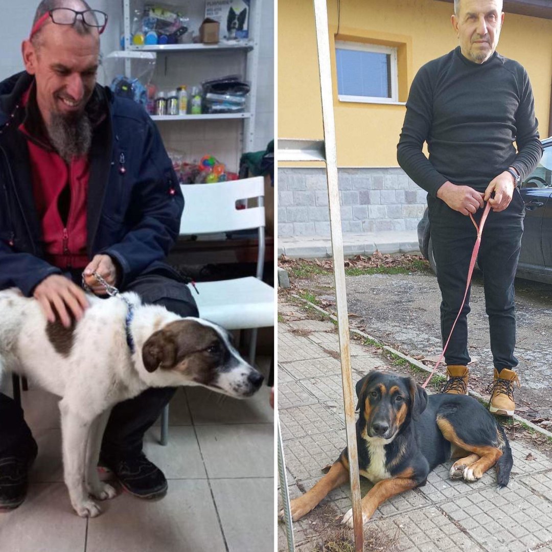 StreetHeartsBG's tweet photo. If you live in #Dryanovo or #Tryavna and you’d like to make use of our free neutering programme, please call 087 726 0760 to make an appointment! These six female dogs will no longer be at risk of falling pregnant and contributing to our recent influx of unwanted puppies. https://t.co/RC11qDwgIr