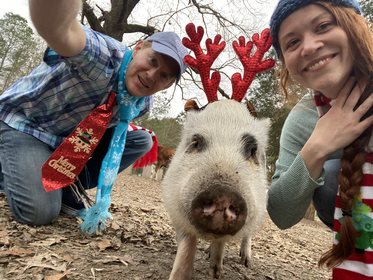 Happy Birthday Ryan! Your human and non-human family loves you very much! There is no one the pigs and I would rather dress up in silly holiday costumes with!  lifewithpigs.com/donate.html #lifewithpigs #friendsnotfood #lovesllharmnone #rescuepig #farmsanctuarylife