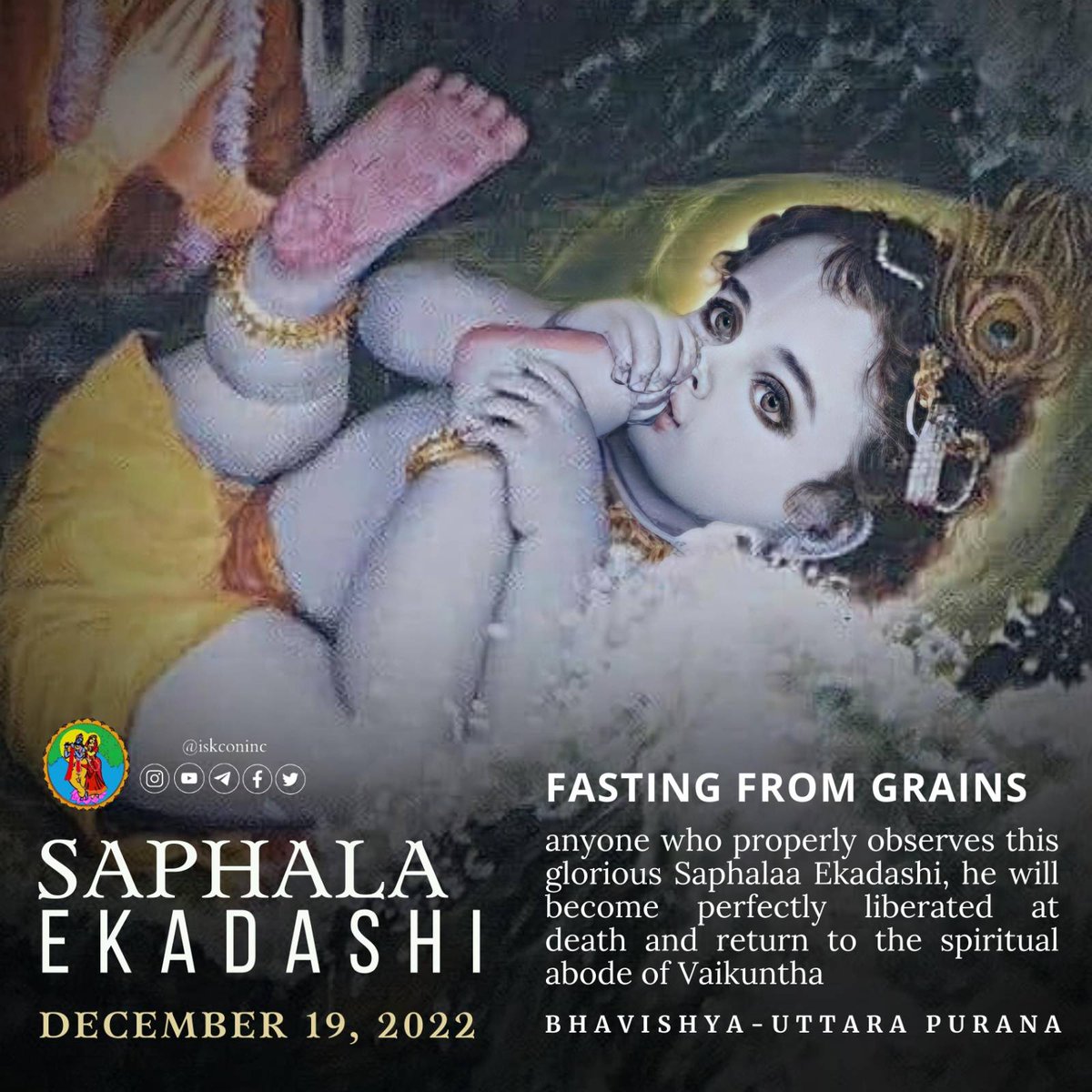 KCSociety_India's tweet photo. Saphala Ekadashi 
Fasting From Grains https://t.co/rHsSReZfxk