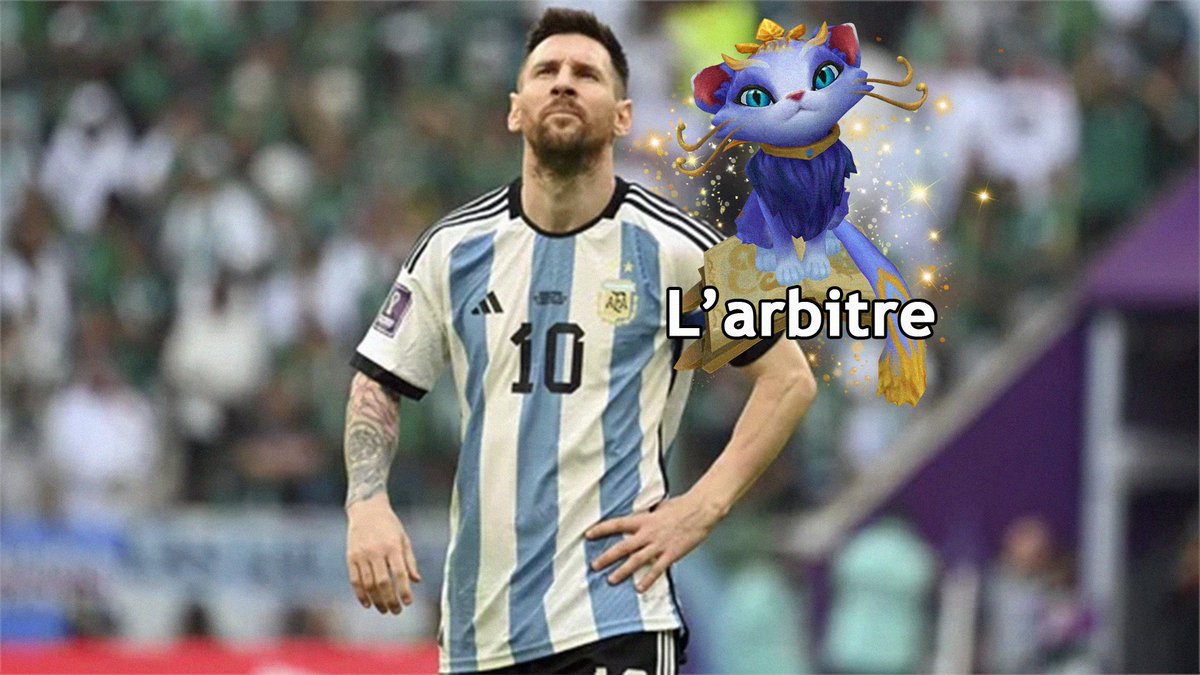 TeamduSud_'s tweet image. Comment on voit l'arbitre 🐱