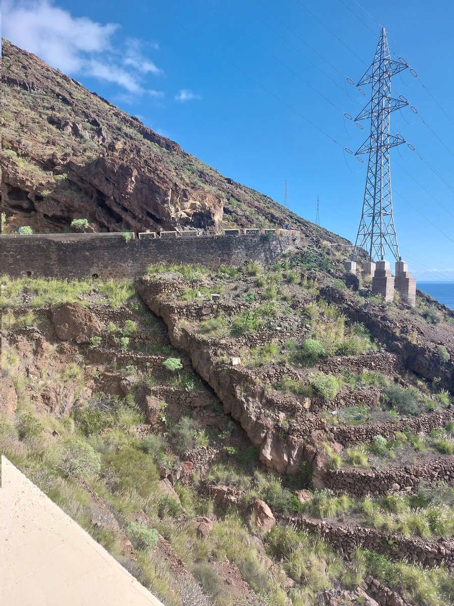 pedrosanch's tweet photo. Por enésima vez, el #pilón #alpalco en la curva de la #TF28 P.K. 12.7 La curva bajando es peligrosísima xq se cierra después del vértice, razón por la cual el despistao o el velillo se mete contra el murete ya que salen rectos. Suele haber espectadores comiendo pipas 1/2 https://t.co/upYlLpn5j7