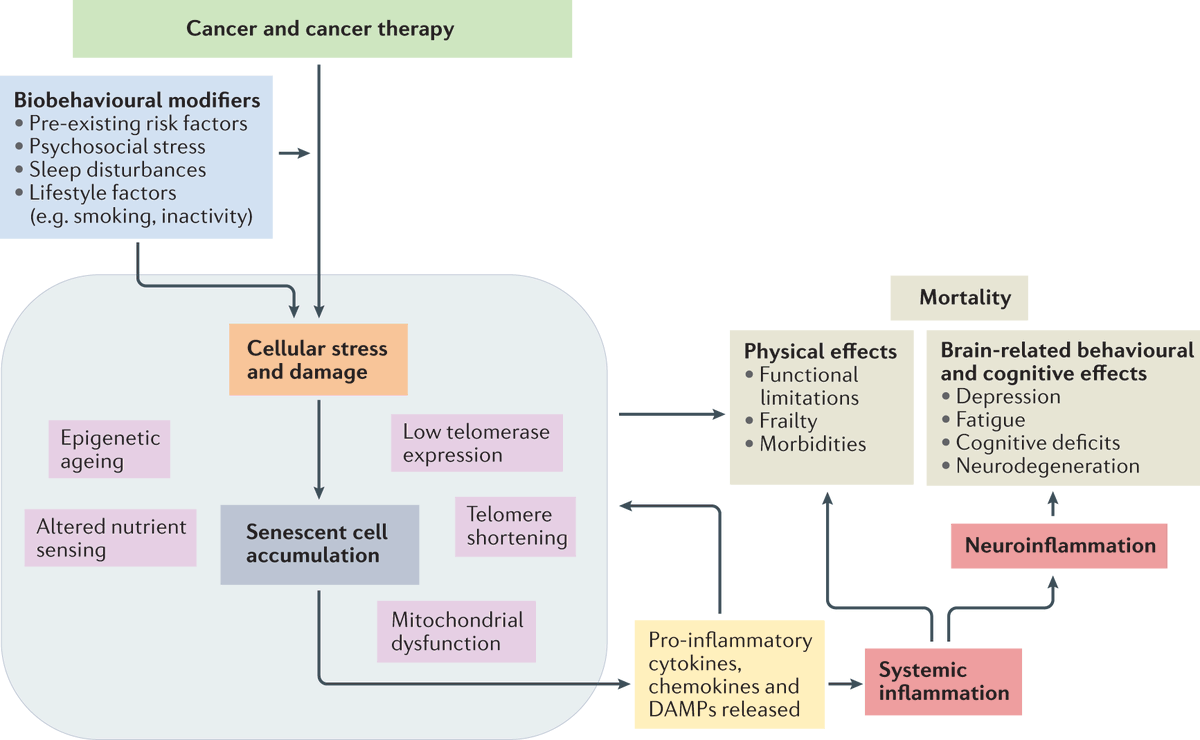 HealthNotes.jpg on Twitter: 