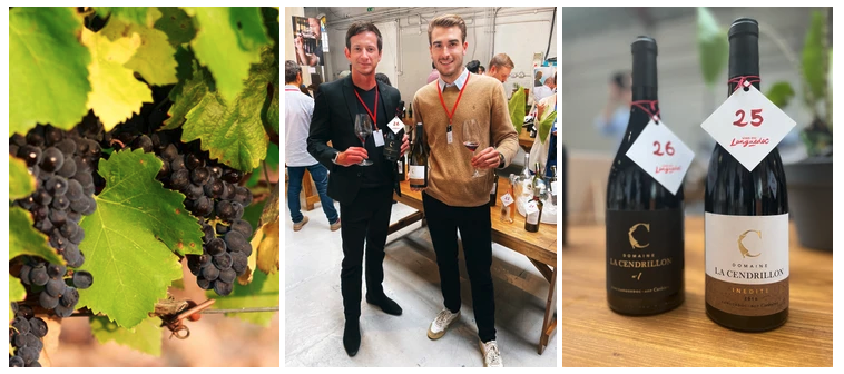 LanguedocWines's tweet photo. In the news ! 📰🇫🇷🥂🇬🇧 In October @WineWithIan attended the #Languedoctour in London where he discovered the wines of Domaine La Cendrillon in @aoccorbieres - Full article 👇
https://t.co/fEhoSu1VYg
#languedocwines #instinctshared https://t.co/iOl6lylKP4
