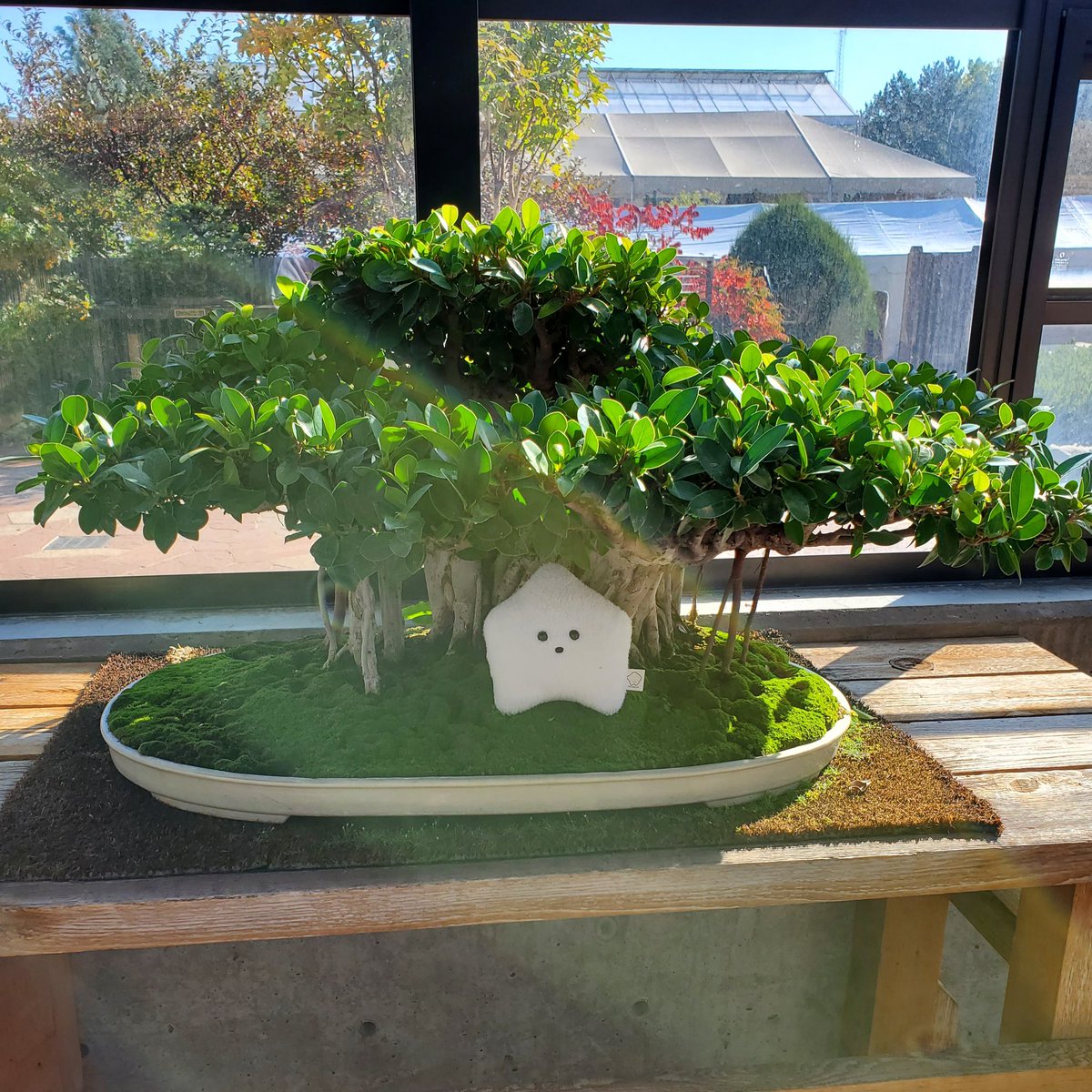 sucklet7's tweet photo. i think i will live here now.
#sucklet. #treelet. @itemlabel. https://t.co/XZ1XzLAj9d