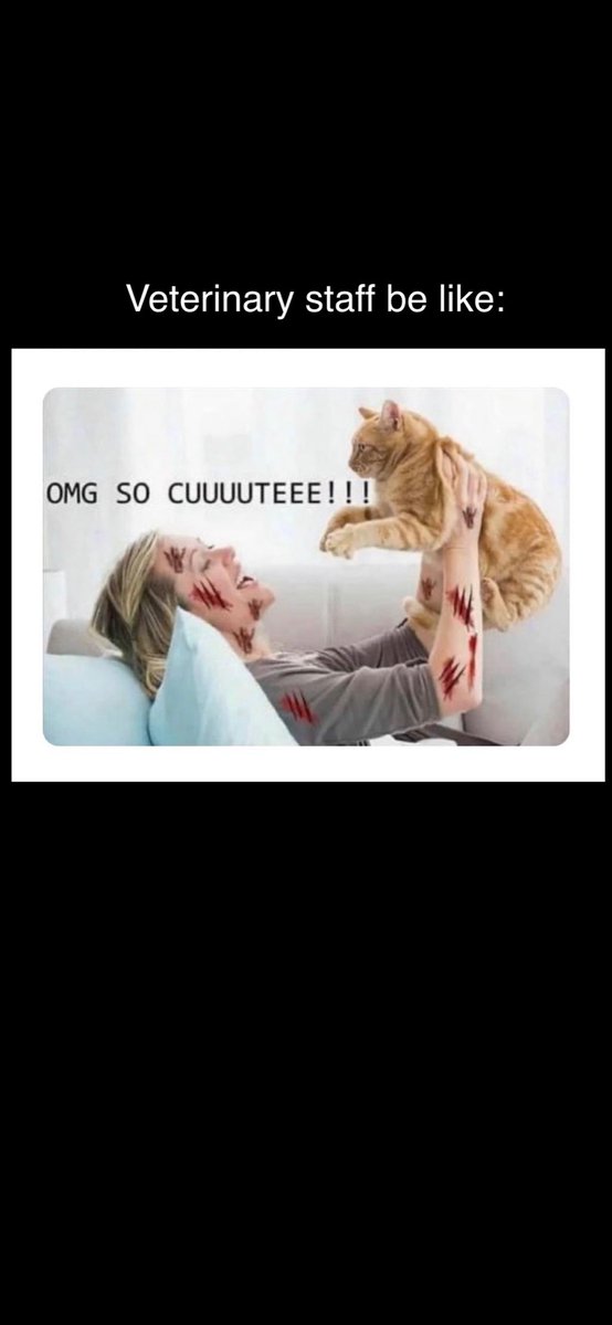 avima_vet's tweet photo. #vetmed #vettech #vetlife #veterinary #veterinarylife #veterinarymedicine #vetstudent #vetschool #dvm #veterinaria #veterinarios #veterinaire #vetnurse #instavet #vetsoftwitter #veterinario https://t.co/xwImHjcixq