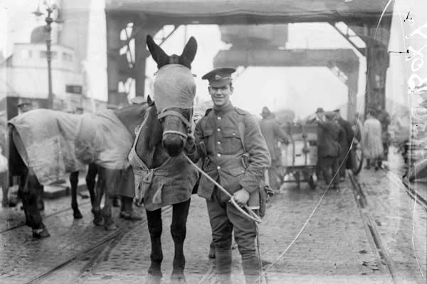 c_duigan's tweet photo. A shared heritage - 14-18 Dec 1922 - 100 yrs ago - evacuation of #Dublin #Ireland by British Forces was completed - special trains picking up thousands of men & hundreds of horses at #Holyhead #Wales #IrishSea #Anglesey #IrelandWales #YnysMon #DecadeOfCentenaries #IrishFreeState https://t.co/8o3T07hLEg
