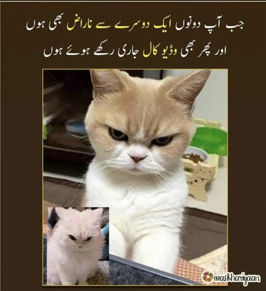 RindMuneeb's tweet photo. ایسا کس کس کے ساتھ ہوتا ہے؟🤔 https://t.co/iXVlUpVgAm