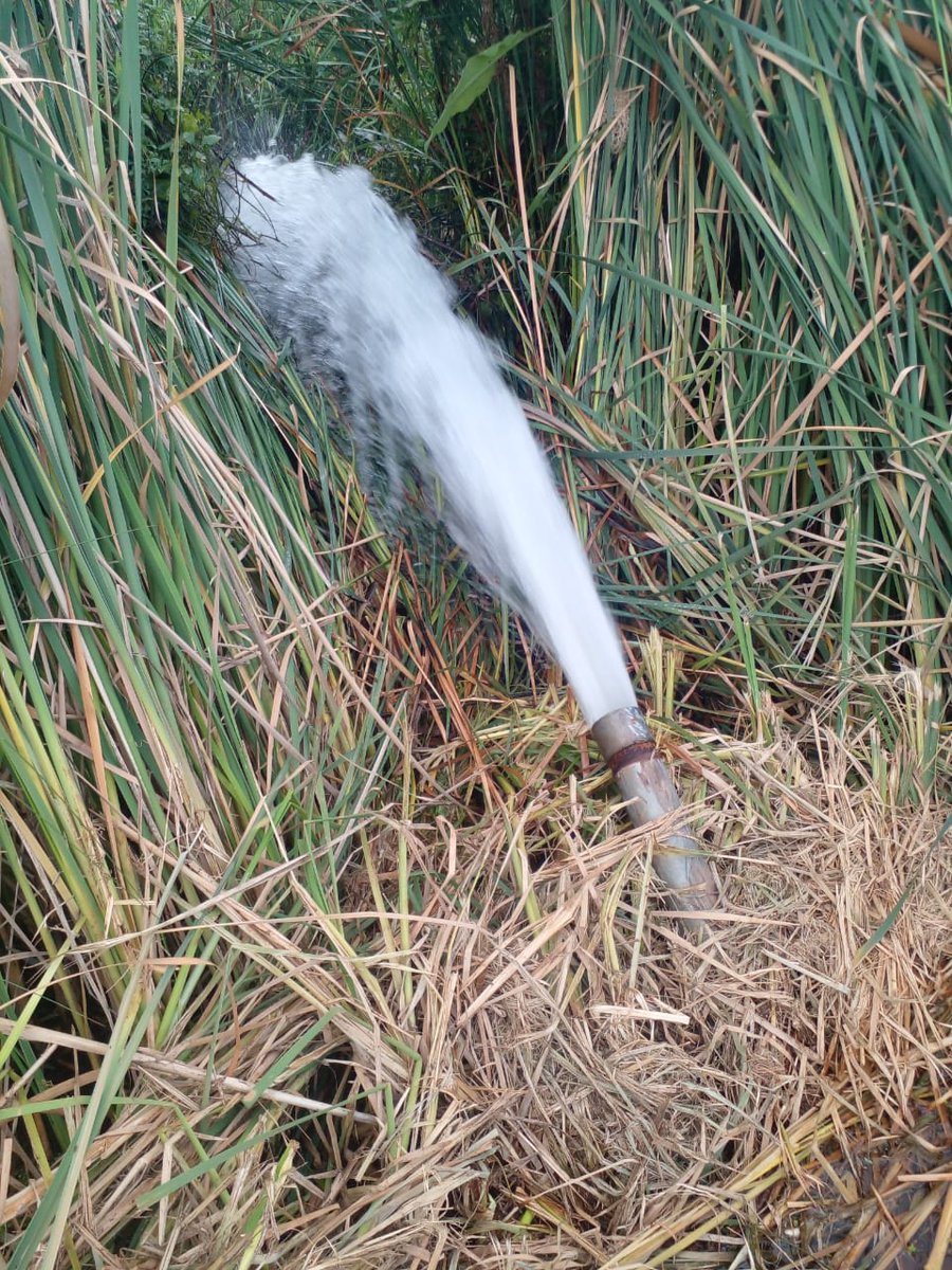 Mothogoane_MS's tweet photo. @CityTshwane and @tshwane_mayor This pipe has been gushing out gallons of water for few days now and it is understood the city is aware, but no action. This is at The Orchards Ext 6. https://t.co/h5PuUF56Qz