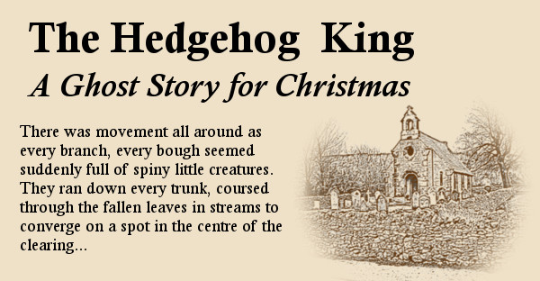 Proper_Obvious's tweet image. The Hedgehog King - A Ghost Story for Christmas  bleeding-obvious.co.uk/.../hedgehog/h…