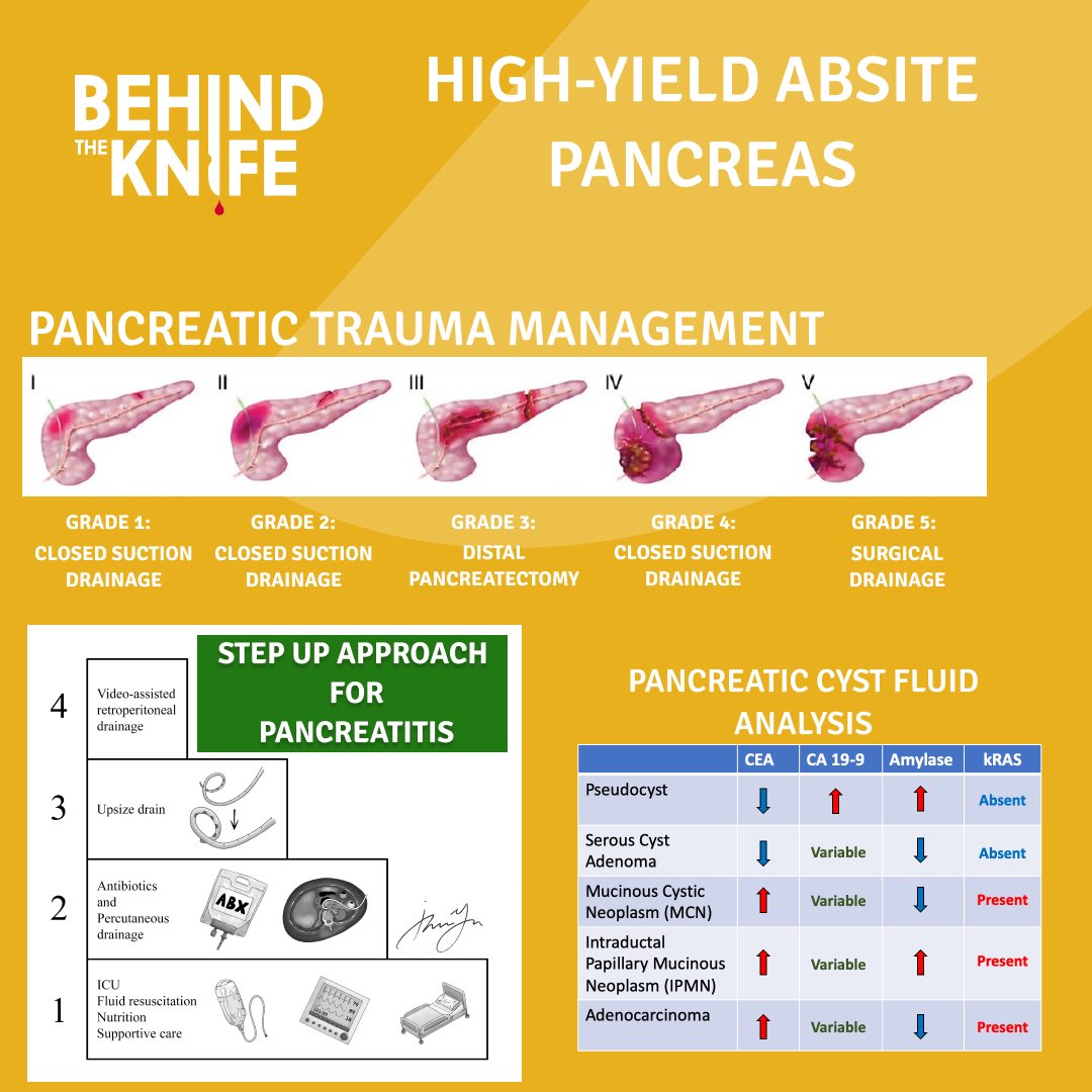 What are your thoughts about the pancreas?!? Love it? Hate it? Don’t mess with it? No matter what your feelings are, we’ll help you DOMINATE the pancreas for the ABSITE!