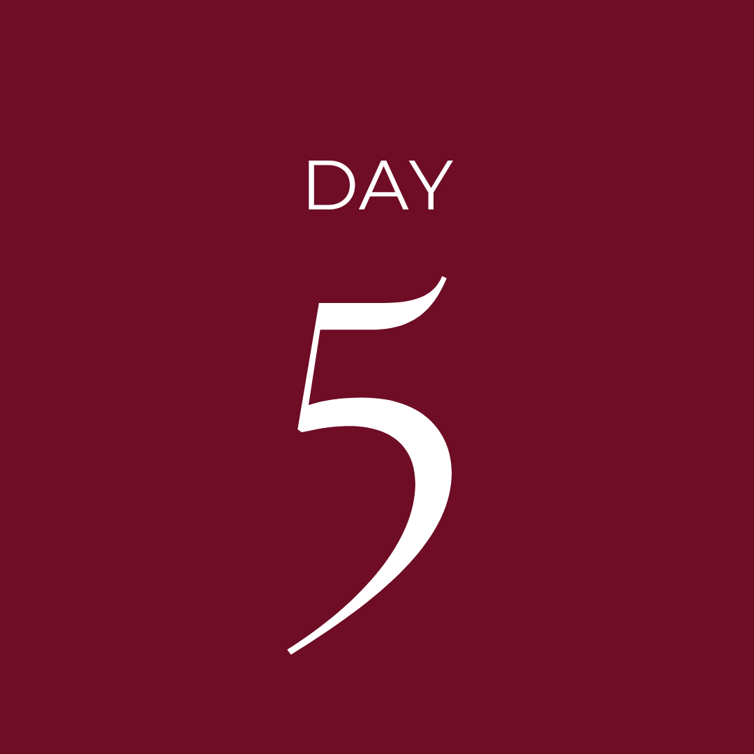 CathayHomeInc's tweet photo. It's the 5th Day of Cathaymas, and we are giving away one of our Cotton Chambray Duvet Cover Sets! Click the link to enter: https://t.co/7zNTvomHkx https://t.co/fhQ27WNKB5