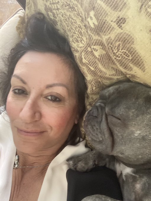 Bertie relaxing with mommy on a Sunday I love me some Frenchie bulldogs https://t.co/5HWTQfO1QR