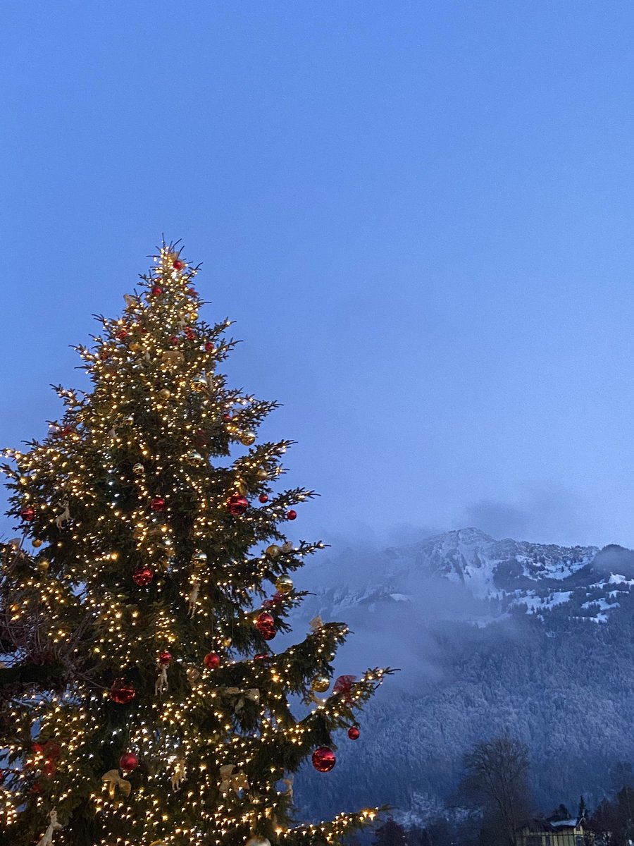 Anne Amlot tweet media