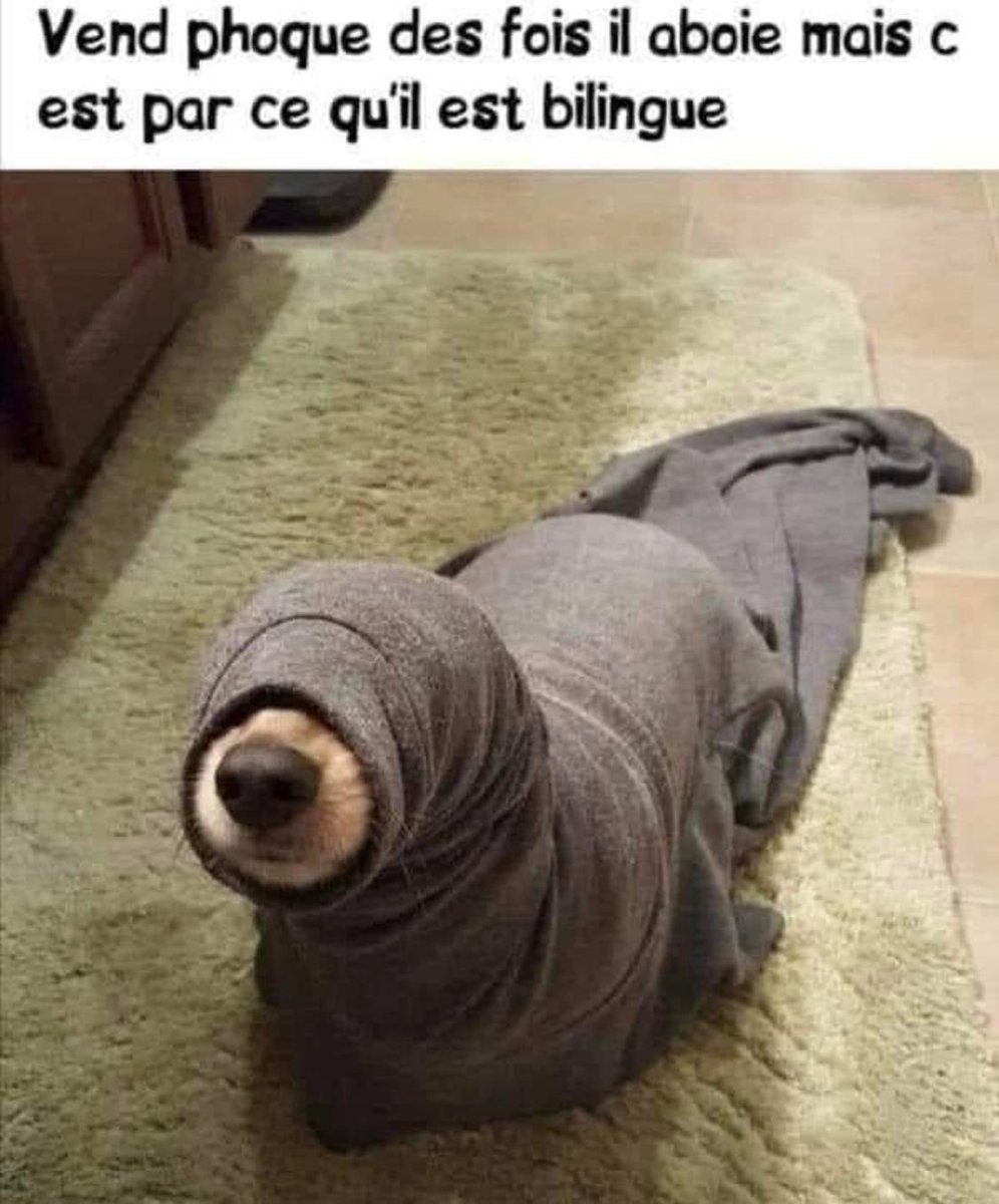 Pas sérieux s'abstenir.