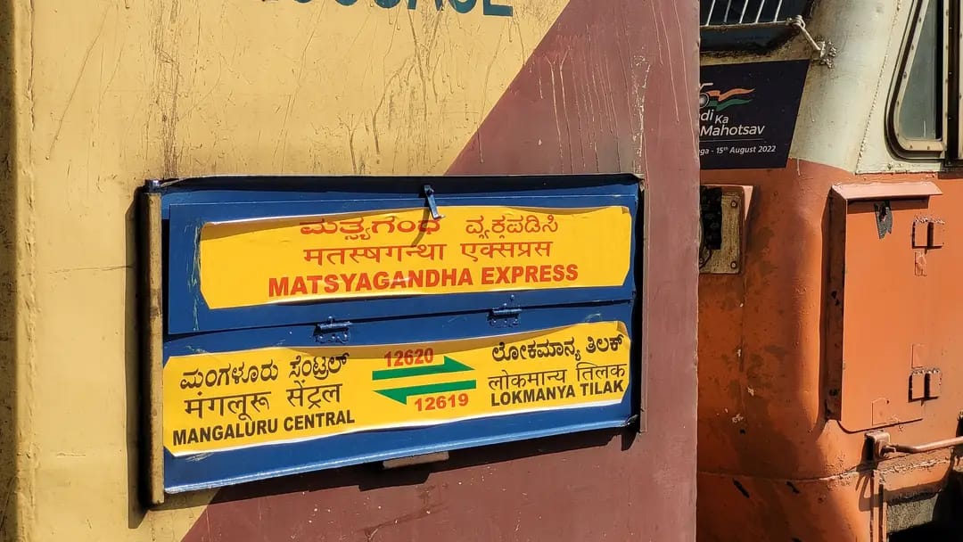 Elston Dsouza tweet media