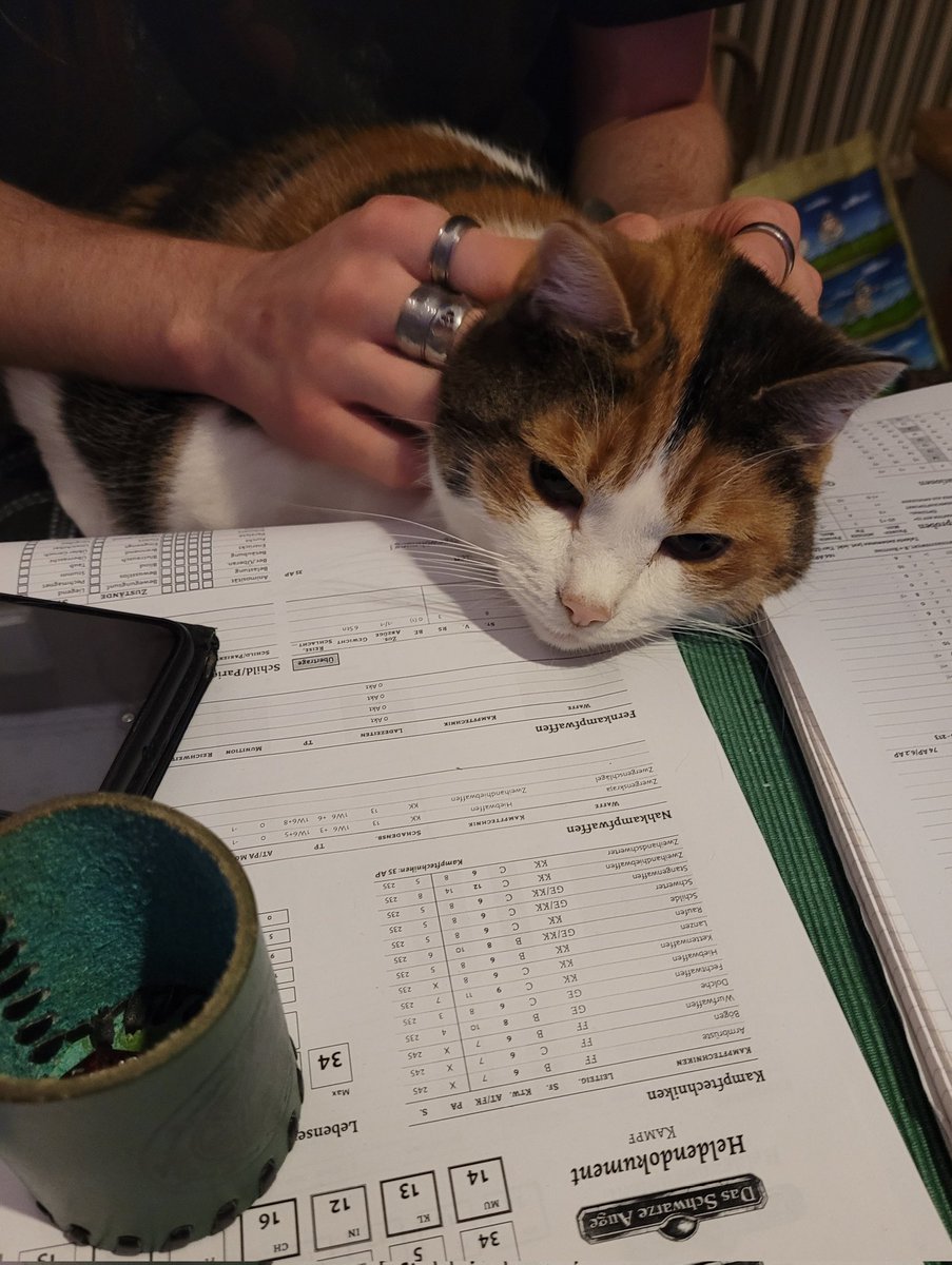 Verkaufsnudel's tweet photo. #supportkitty #DSA https://t.co/D5aPO0Vbtc