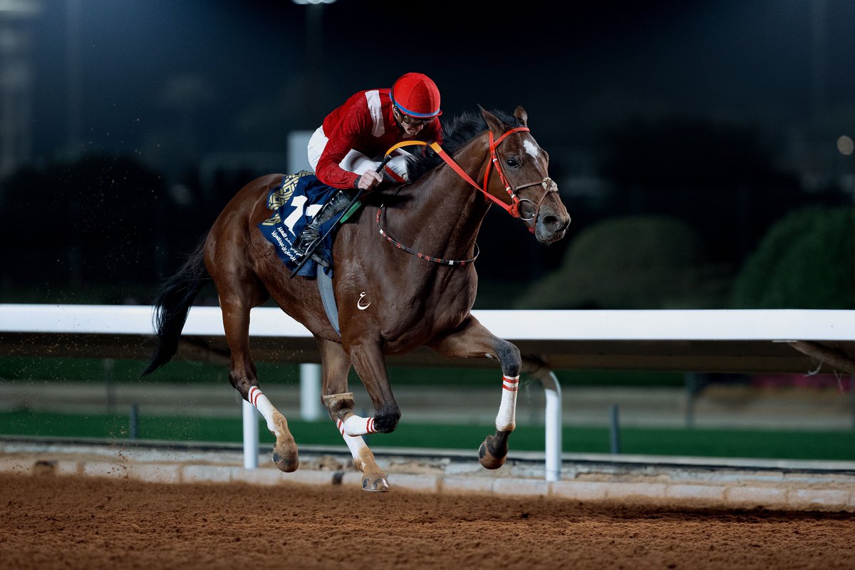 alialzenidi's tweet photo. My Frankel

@the_doyler https://t.co/OP6jRhznLf