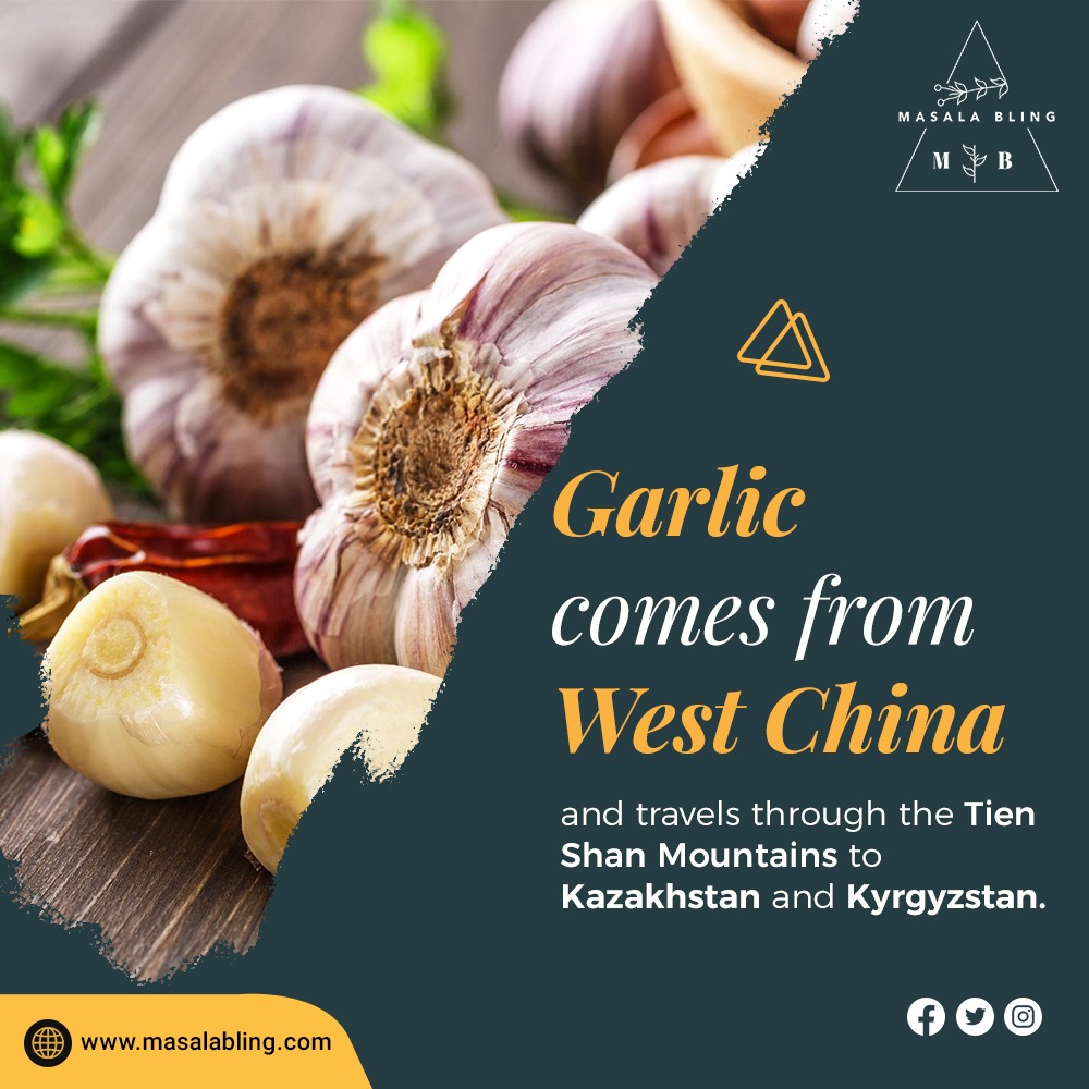 History of Garlic you must know! 

#masalabling #masalablingspices #masalablingspicemix #delicious #tastyfood #garlic #garlicfacts #homecooking #cookingathome #tastyrecipes #healthyspices #spiceblends #spiceslover  #herbsandspices #spiceshop #spicesandseasonings #spices