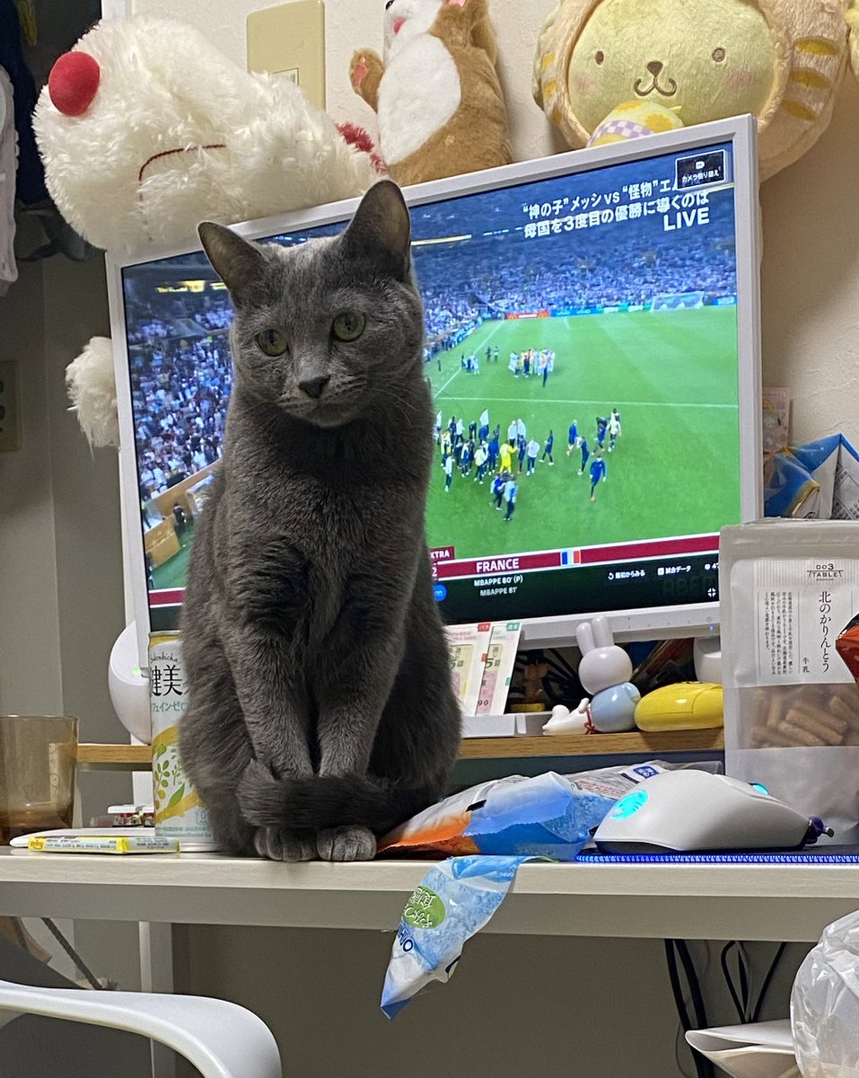 chainezu's tweet photo. 見えるようにはしてくれた https://t.co/oij6tf2jGB