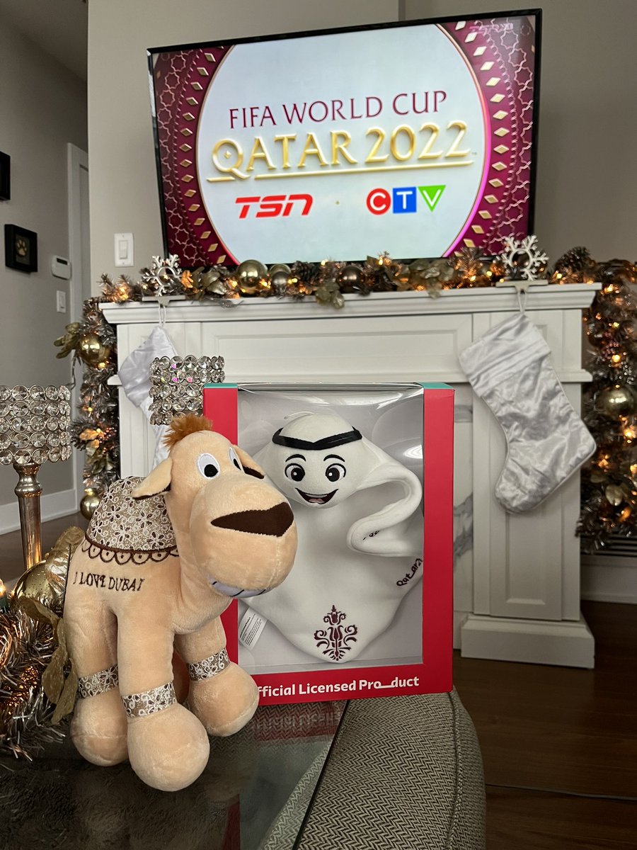 careymcbeth's tweet photo. On the couch watching the World Cup Final and I feel like I’ve ran a marathon! #Qatar2022 #QatarWorldCup #WorldCupFinal https://t.co/rmm98ke03Y