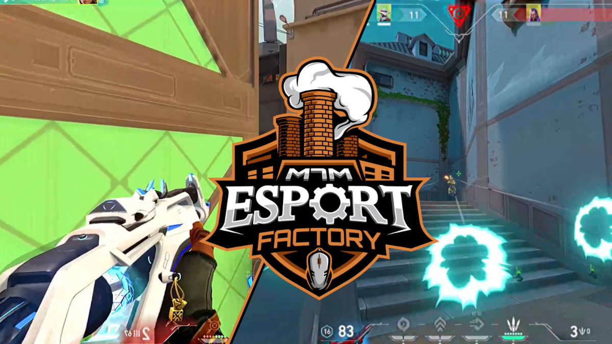 EF Blank tweet media