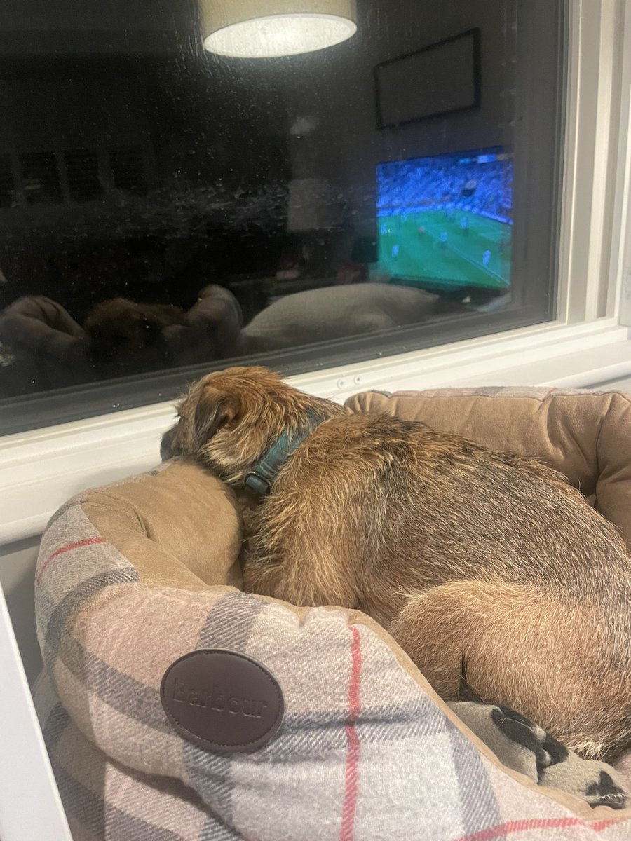 Hmmf. Lots of mens playin borlee but not one of vem has thort to bite it. #BTPosse would help, eh pals?