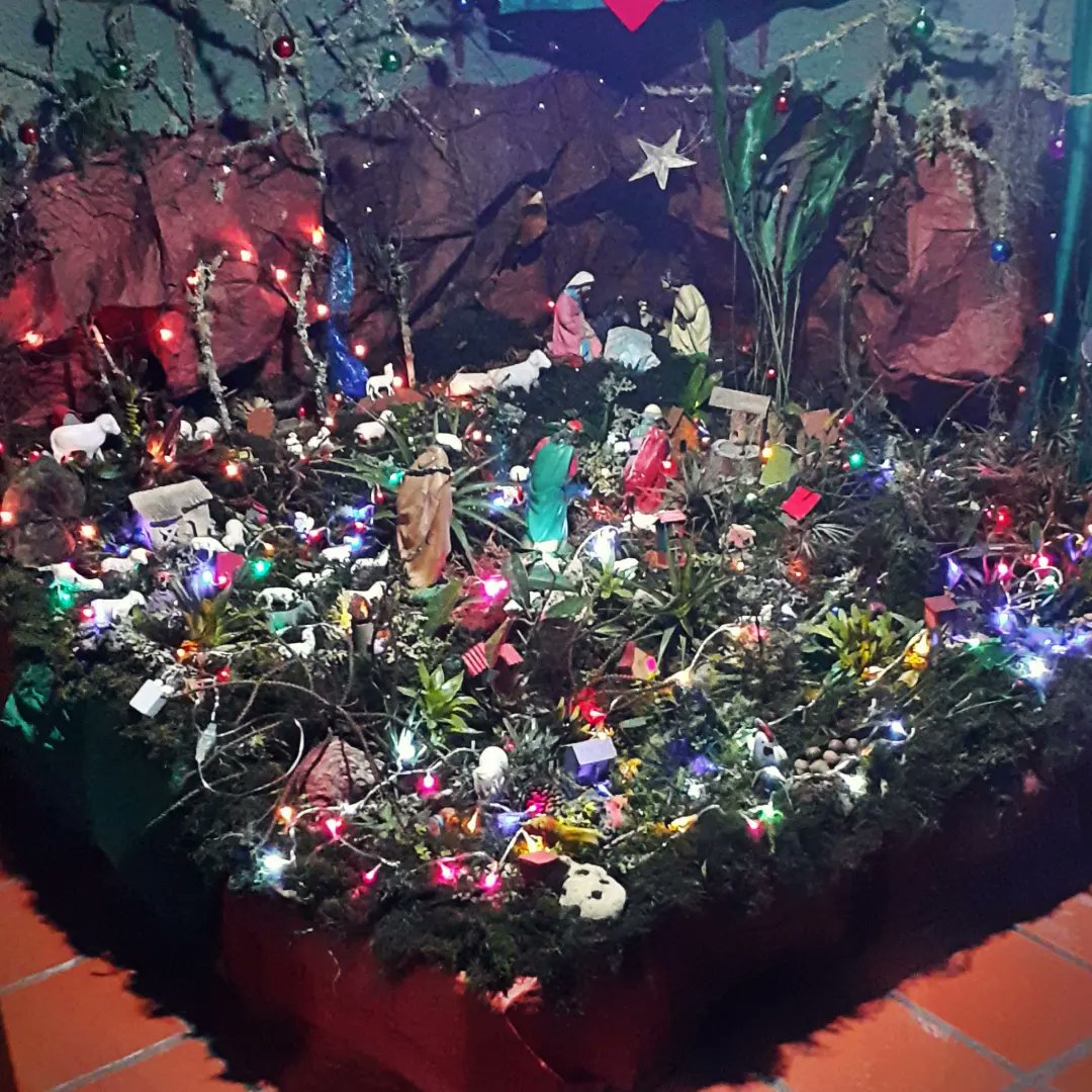 CTovar03's tweet photo. Navidad en la #coloniatovar #felicesfiestas #gutentag https://t.co/JLu9h84vd3